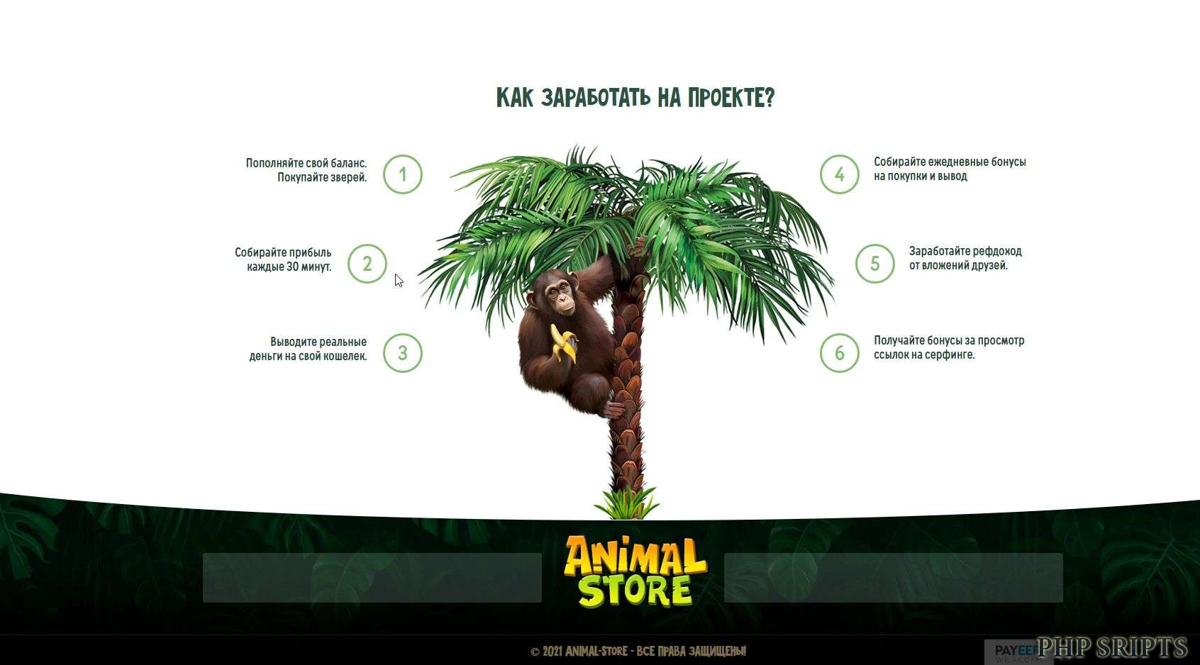 Игра animal_store